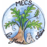 MECS Le Grand Chêne