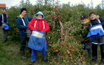 Les jeunes de l’IMpro dans les Jardins de Laquenexy