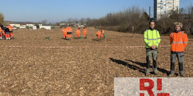 RL : De l’Esat à Devant-les-Ponts pour planter une forêt urbaine