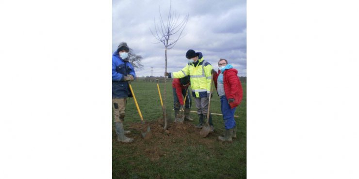 L'IMPro de Morhange à Givrycourt pour planter des haies et des arbres