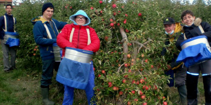 Les jeunes de l’IMpro dans les Jardins de Laquenexy