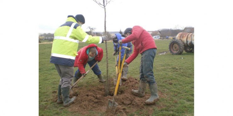 L'IMPro de Morhange à Givrycourt pour planter des haies et des arbres